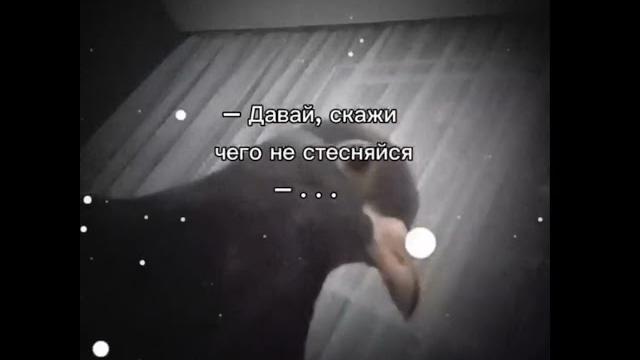 #мем#голубь#прикол #мем#голубь#прикол