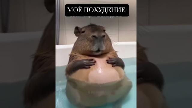 Мой план похудение после родов #беременность #юмор #беременныепоймут #беременные #беременность Мой план похудение после родов #беременность #юмор #беременныепоймут #беременные #беременность