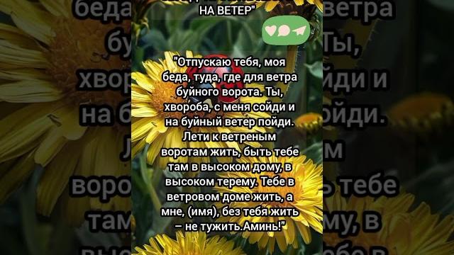 ️baba_ninay Телеграмм | Заговор | Магия Жизни |#shorts#tiktok #приметы#magic#помощь#советы#заговоры ️baba_ninay Телеграмм | Заговор | Магия Жизни |#shorts#tiktok #приметы#magic#помощь#советы#заговоры