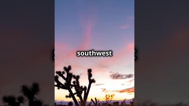 2025 Planetary Alignment |Once in 396 billion years event| January 25th | Universal Universe 2025 Planetary Alignment |Once in 396 billion years event| January 25th | Universal Universe