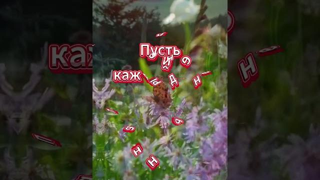 ОЧЕНЬ КРАСИВЫЕ ПОЖЕЛАНИЯ #лучшее #видео #открытка #shorts #шортс #video #радость #топ #like #live ОЧЕНЬ КРАСИВЫЕ ПОЖЕЛАНИЯ #лучшее #видео #открытка #shorts #шортс #video #радость #топ #like #live