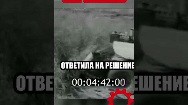 Новинка в мире мотоблоков для садоводства. #мотоблок #сельскоехозяйство #valrus #shorts #огород Новинка в мире мотоблоков для садоводства. #мотоблок #сельскоехозяйство #valrus #shorts #огород