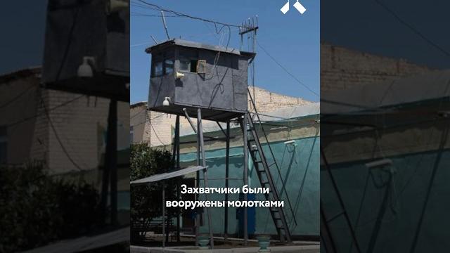 Захват колонии под Волгоградом: последние новости Захват колонии под Волгоградом: последние новости