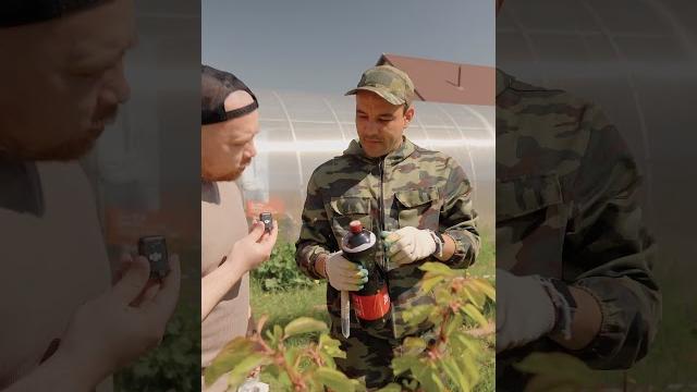 Новый обзор на видео бани Новый обзор на видео бани