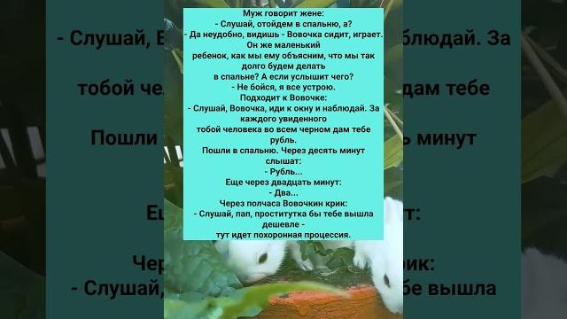 СТАРЫЙ ЗАБАВНЫЙ АНЕКДОТ ПРО ВОВОЧКУ #анекдоты #Юмор #История #Жизнь #Анекдот #Прикол #США СТАРЫЙ ЗАБАВНЫЙ АНЕКДОТ ПРО ВОВОЧКУ #анекдоты #Юмор #История #Жизнь #Анекдот #Прикол #США