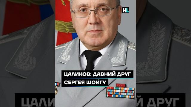 Цаликов: давний друг Сергея Шойгу #shorts Цаликов: давний друг Сергея Шойгу #shorts