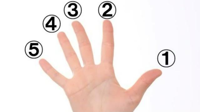 17 ноября / Сколько океанов на земле? 17 ноября / Сколько океанов на земле?
