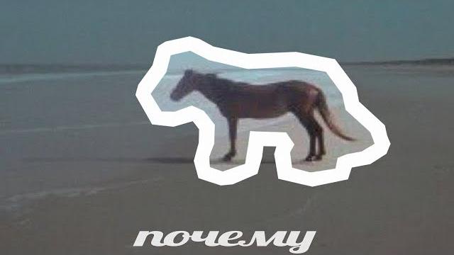 ЛОШАДЬ ПОЧЕМУ — ОТКУДА МЕМ? ЛОШАДЬ ПОЧЕМУ — ОТКУДА МЕМ?