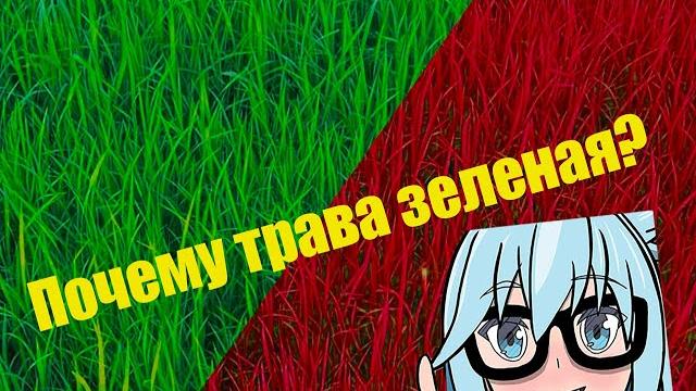 Почему Трава Зелёная??? Почему Трава Зелёная???