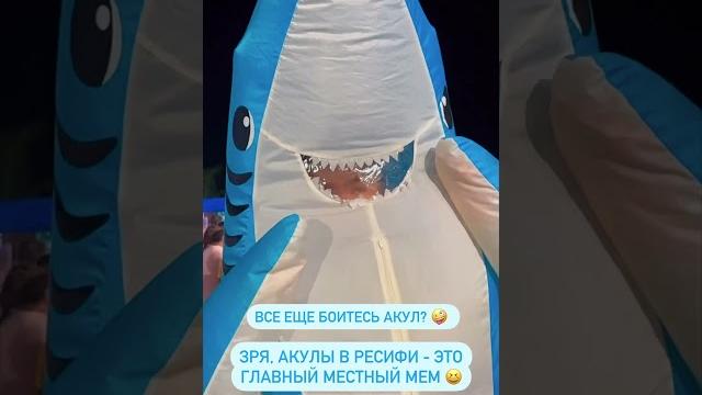 Акулы в Ресифи: насколько это опасно? Акулы в Ресифи: насколько это опасно?