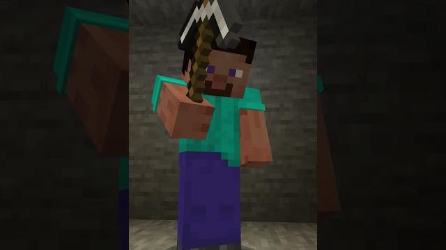 I... AM STEVE! I... AM STEVE!