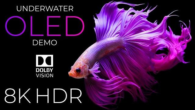 Underwater Life OLED Demo HDR 8K Ultra HD Dolby Vision™ 60fps Underwater Life OLED Demo HDR 8K Ultra HD Dolby Vision™ 60fps