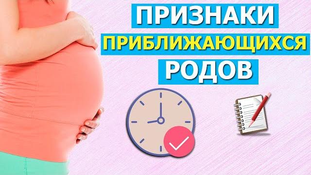 Предвестники родов Предвестники родов