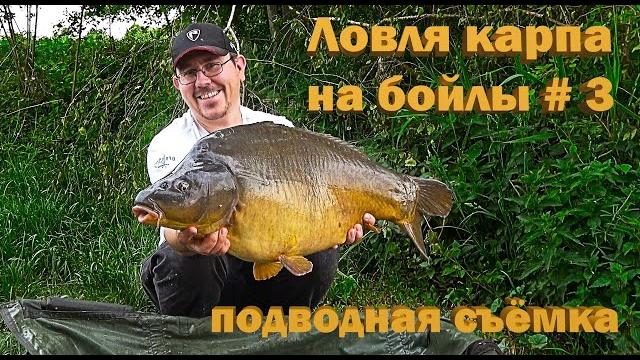 Ловля карпа на бойлы # 3 подводная съёмка (Видео 4К) Ловля карпа на бойлы # 3 подводная съёмка (Видео 4К)