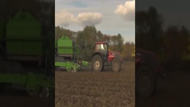 Новый картофелеуборочный комбайн на полях Московской области, производитель Колнаг видео Новый картофелеуборочный комбайн на полях Московской области, производитель Колнаг видео