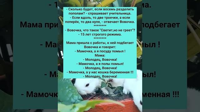 Анекдоты, которые смешат до слёз #юмор Анекдоты, которые смешат до слёз #юмор