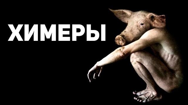 ОНИ уже СРЕДИ НАС - генномодифицированные люди стали реальностью ОНИ уже СРЕДИ НАС - генномодифицированные люди стали реальностью