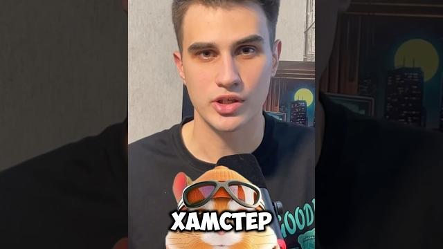 Хамстер Комбат шокировал всех своей ценой! Какая будет Цена Hamster Kombat? #hamsterkombat Хамстер Комбат шокировал всех своей ценой! Какая будет Цена Hamster Kombat? #hamsterkombat