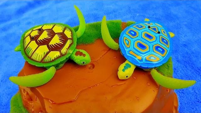 Морские Черепахи. Развивающее видео для детей про черепашек.Робочерепашки Robo Turtle Zuru Морские Черепахи. Развивающее видео для детей про черепашек.Робочерепашки Robo Turtle Zuru