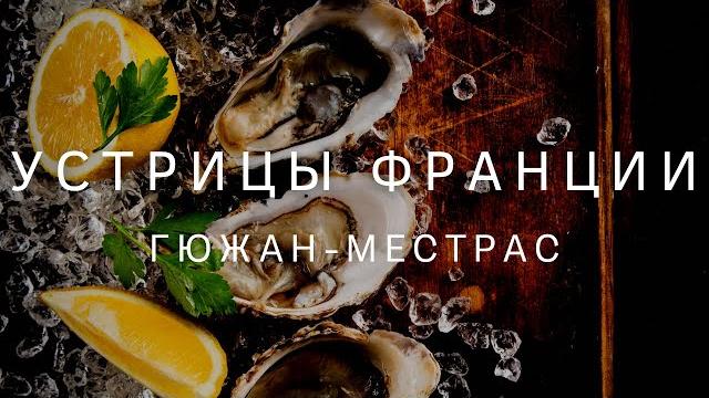 Устрицы Франции. Гюжан-Местрас - столица устричных ферм. Путешествуя в Бордо. Как добывают устрицы Устрицы Франции. Гюжан-Местрас - столица устричных ферм. Путешествуя в Бордо. Как добывают устрицы