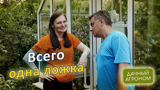 Одна ложка под куст Две под дерево Три в теплицу Одна ложка под куст Две под дерево Три в теплицу
