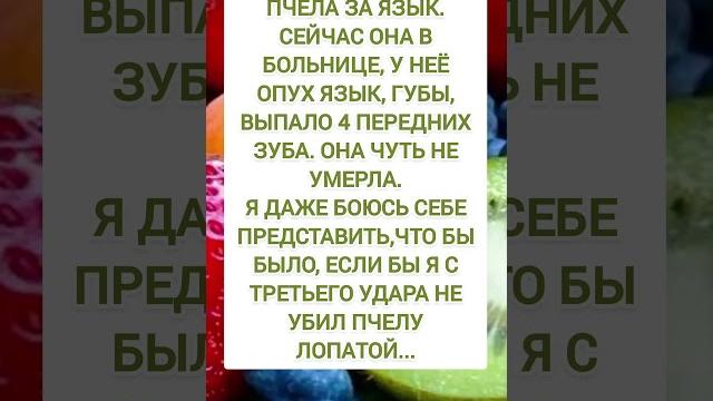 Анекдоты, которые смешат до слёз #юмор Анекдоты, которые смешат до слёз #юмор