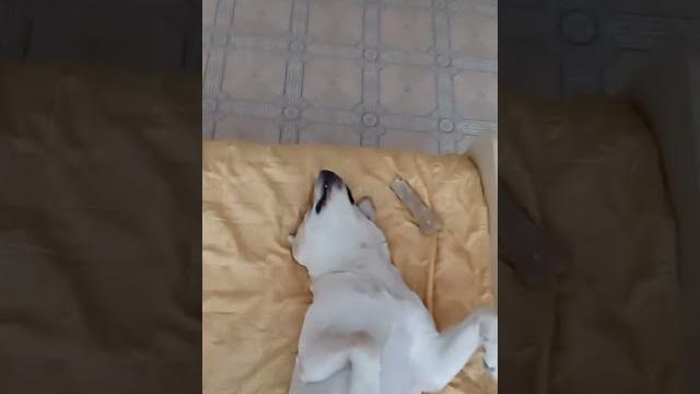 Вне доступа Вне доступа