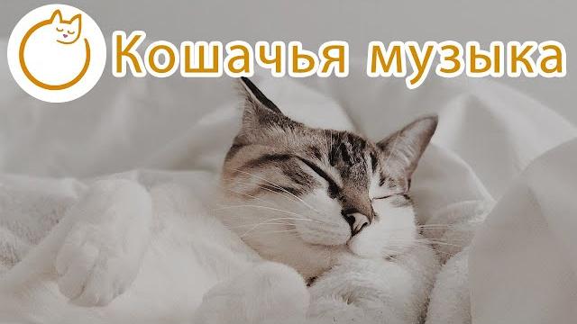Музыка для кошек - Мягкие колыбельные от кошачьей тревоги Музыка для кошек - Мягкие колыбельные от кошачьей тревоги