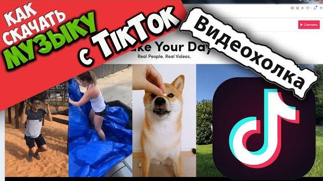 Как скачать музыку из Тик Тока Как скачать музыку из Тик Тока