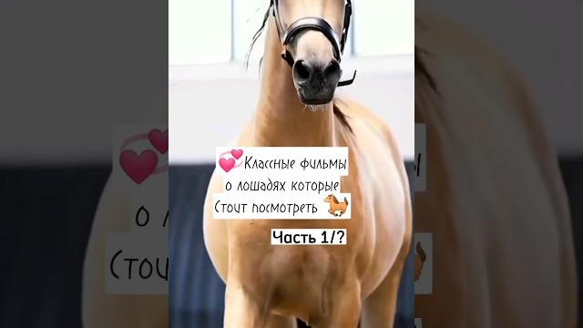 очень классные фильмы о лошадях.Как думаете, сколько я сделаю частей? #лошади #конники #эдит очень классные фильмы о лошадях.Как думаете, сколько я сделаю частей? #лошади #конники #эдит