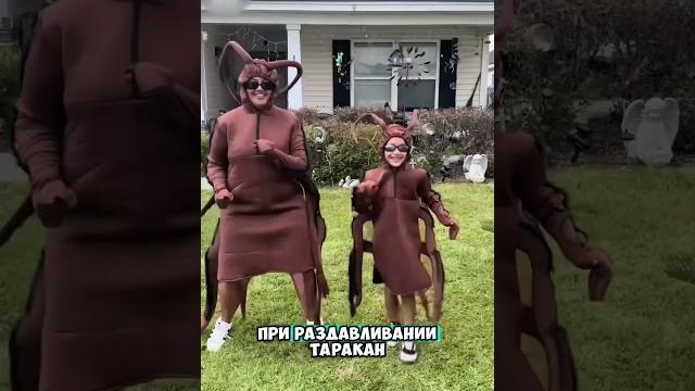 Никогда так не делаете  Никогда так не делаете 