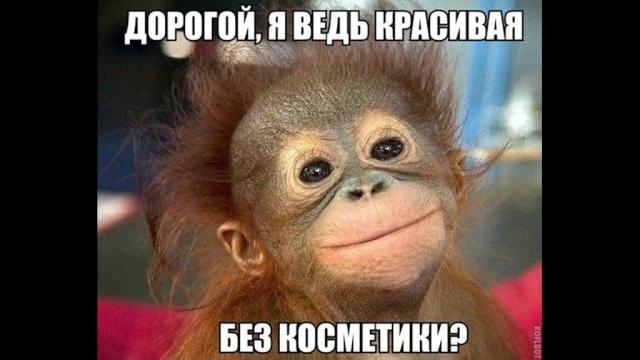 нарезка приколы картинки 2017 нарезка приколы картинки 2017