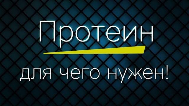 ПРОТЕИН - для чего нужен?! ПРОТЕИН - для чего нужен?!