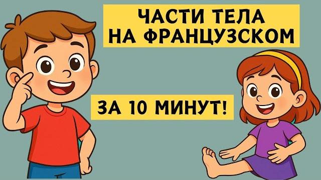 Части тела на французском ️ Учим легко и быстро! Части тела на французском ️ Учим легко и быстро!