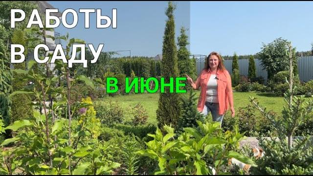 КАКИЕ РАБОТЫ в САДУ надо СДЕЛАТЬ В ИЮНЕ | Не забудьте это сделать в саду летом | Работы в саду летом КАКИЕ РАБОТЫ в САДУ надо СДЕЛАТЬ В ИЮНЕ | Не забудьте это сделать в саду летом | Работы в саду летом