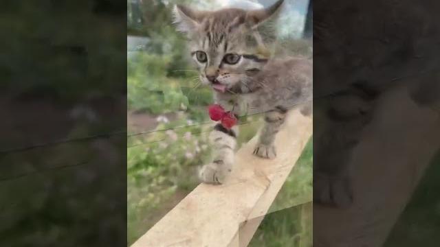 От улыбки хмурый день светлей ️️ От улыбки хмурый день светлей ️️