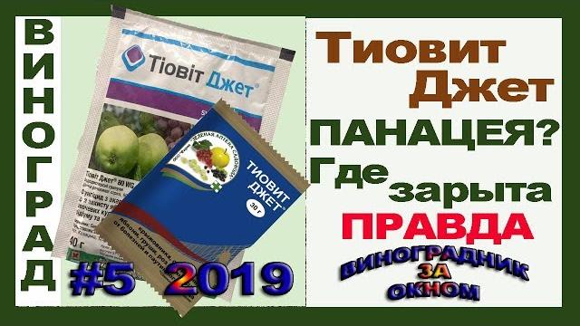 Тиовит Джет. ПАНАЦЕЯ? Где зарыта ПРАВДА. Пестицид контактного действия для винограда. Инструкция. Тиовит Джет. ПАНАЦЕЯ? Где зарыта ПРАВДА. Пестицид контактного действия для винограда. Инструкция.