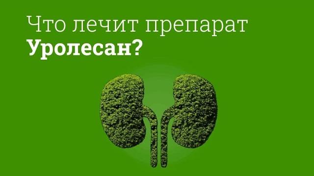 Уролесан: инструкция по применению Уролесан: инструкция по применению