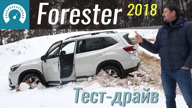 Где застрянет Форестер? Обзор Subaru Forester 2018 Где застрянет Форестер? Обзор Subaru Forester 2018