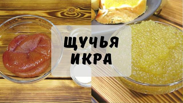 Как засолить щучью икру Как засолить щучью икру