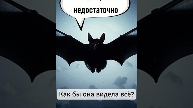 Ёжик в тумане. Глазами Летучей Мыши. #путешествиекиномана #приключения #мультик #прикол #Норштейн Ёжик в тумане. Глазами Летучей Мыши. #путешествиекиномана #приключения #мультик #прикол #Норштейн