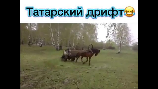 Ролики с ватсапа Ролики с ватсапа