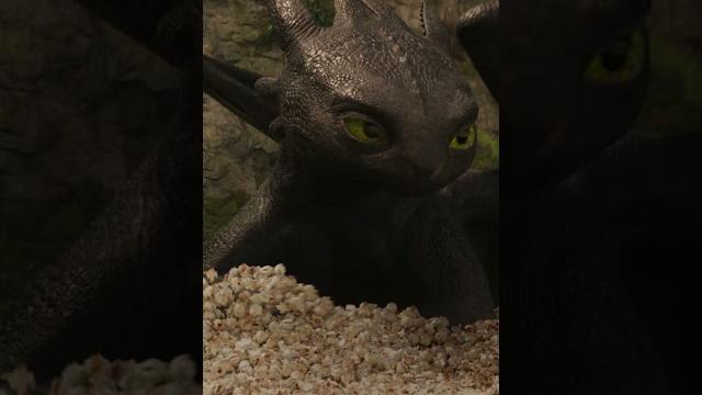 How To Train Your Dragon | Concessions How To Train Your Dragon | Concessions