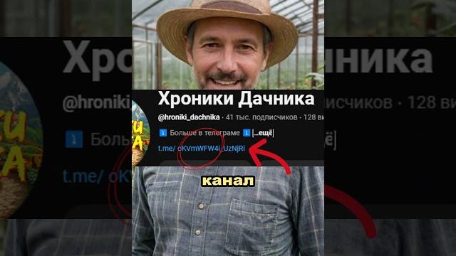 Действенный укоренитель своими руками. Черенки пустят корни за сутки #огород #сад #дача Действенный укоренитель своими руками. Черенки пустят корни за сутки #огород #сад #дача
