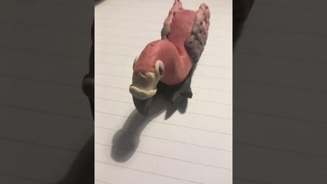 plasticine flamingo #like #art #sub #plastic #clay #modeling #model #birds #flamingo #pink plasticine flamingo #like #art #sub #plastic #clay #modeling #model #birds #flamingo #pink
