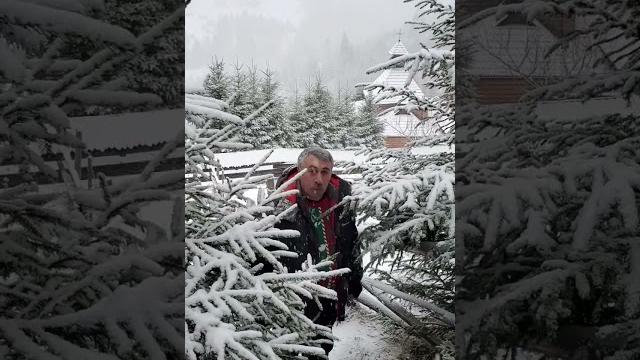 С Рождеством! С Рождеством!