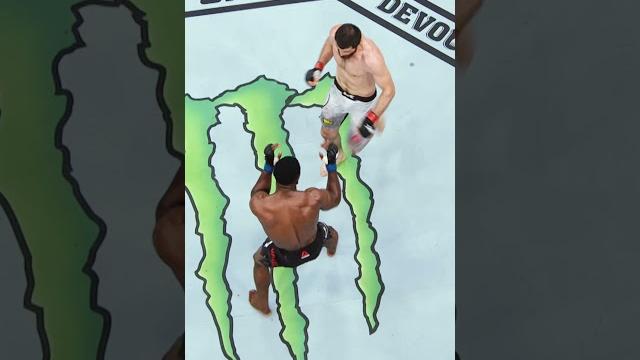 This Magomed Ankalaev knockout from ALL ANGLES #ufc313 This Magomed Ankalaev knockout from ALL ANGLES #ufc313