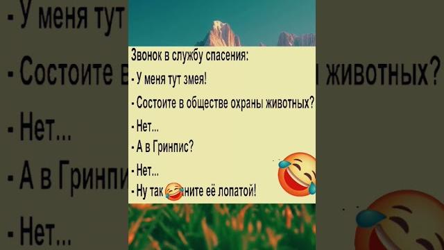 юмор #приколы #смех #юмор юмор #приколы #смех #юмор