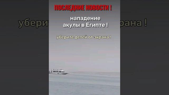 Нападение акулы в Египте. Акула напала на россиянина Хургаде https://youtu.be/QC1FChw2ttI #акулы Нападение акулы в Египте. Акула напала на россиянина Хургаде https://youtu.be/QC1FChw2ttI #акулы