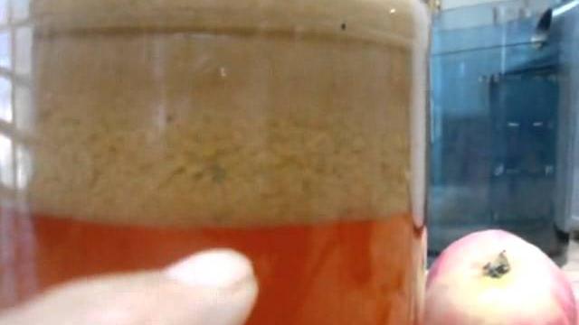 Рецепт приготовления вина из яблок Рецепт приготовления вина из яблок